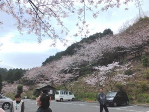 hirose-hanami 6