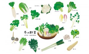 冬野菜